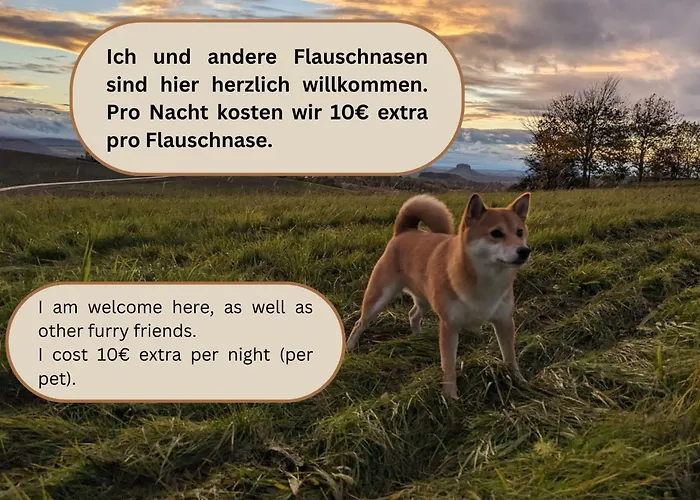 B2 - Urlaubsmagie - Mit Terrasse& Grill Direkt Am Wanderweg شقة زبنيتس